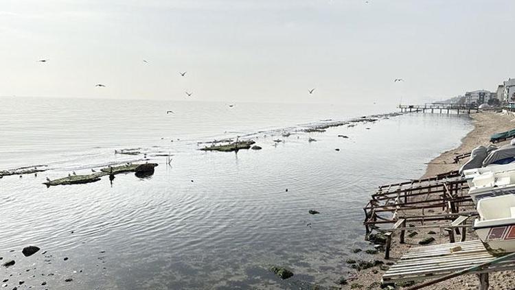 Deniz 7 metre çekildi, Kral Yolu göründü 2 bin 500 yıllık efsane dilden dile dolaşıyor