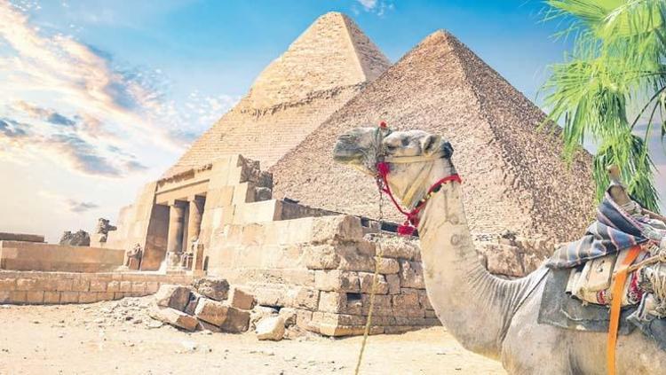 TURLAR İLGİ ÇEKİYOR