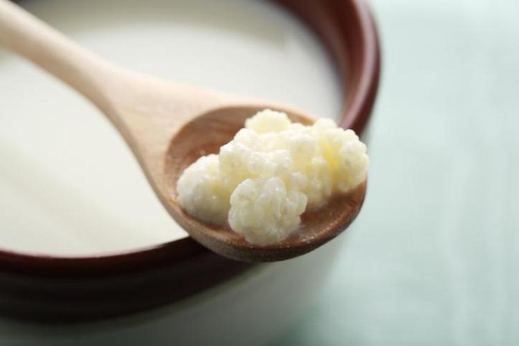 KEFİR VE KURU KAYISI İKİLİSİ: DOĞAL MÜSHİL ETKİSİ