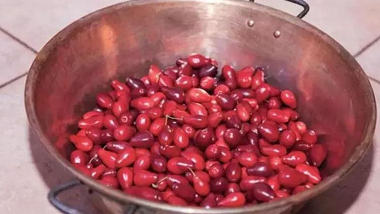 Geleneksel kızılcık şerbetinin 3 kritik püf noktası Böyle yaparsanız tadına doyamayacaksınız