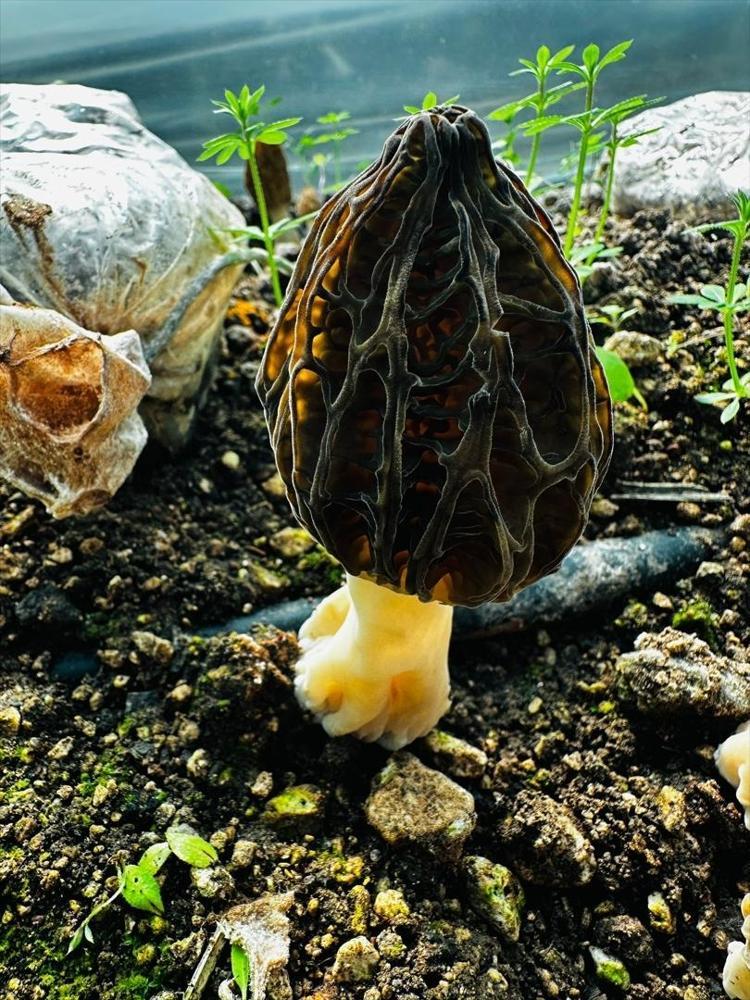 ÜRETİM PROJESİNİ TAMAMLADIK