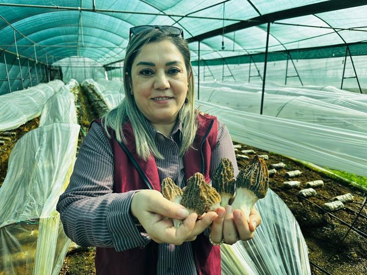 İHRACATI 5 MİLYON DOLARA ULAŞIYOR