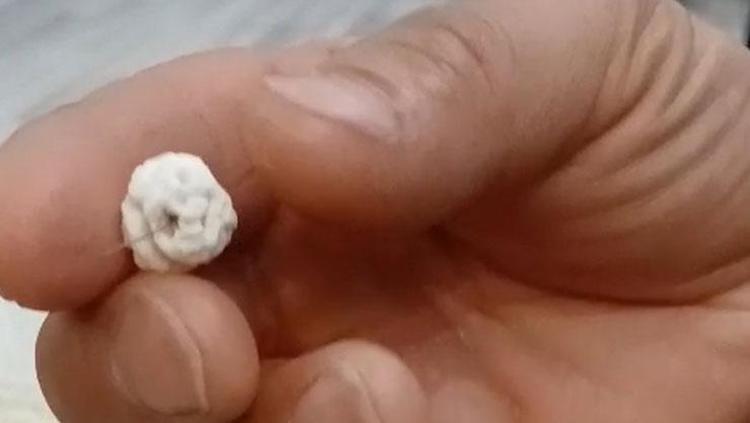 Leblebinin içerisinden çıktı Dikkati sayesinde facia son anda önlendi