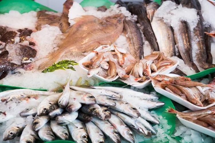 Yasal sınırlar ve sağlık riskleri