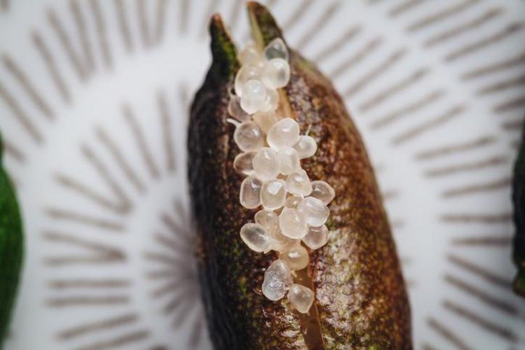 Türkiyede bu meyvenin adını bilen yok İçi havyar gibi, tadı ekşi