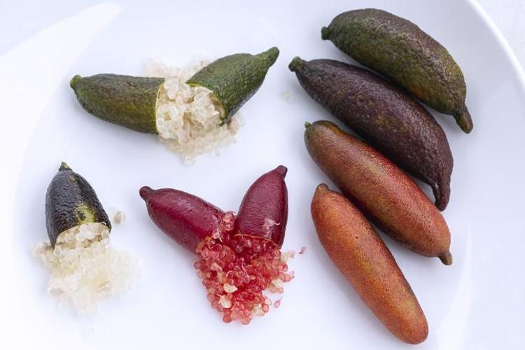 Türkiyede bu meyvenin adını bilen yok İçi havyar gibi, tadı ekşi