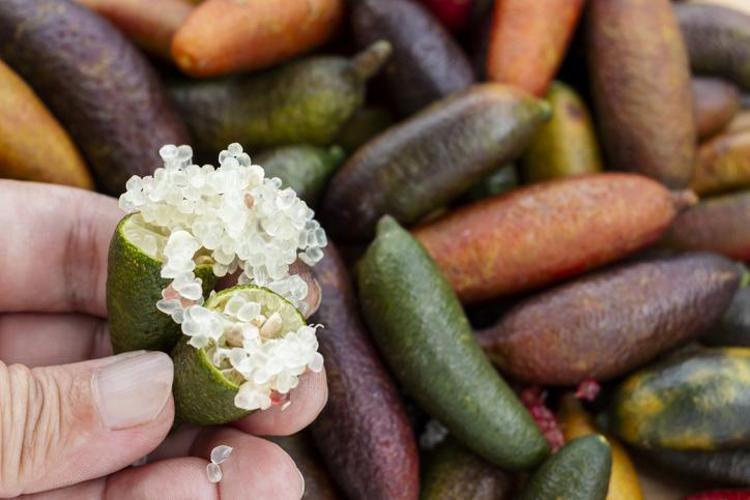 Türkiyede bu meyvenin adını bilen yok İçi havyar gibi, tadı ekşi