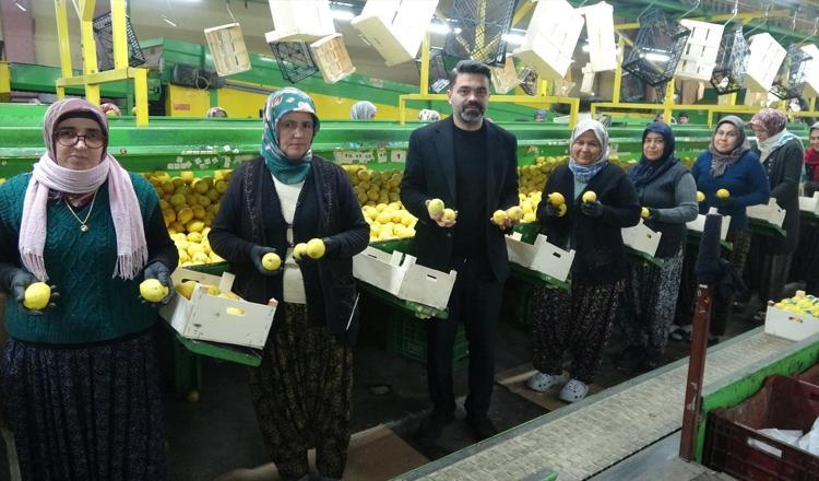 BİRÇOK ÜLKEYE İHRAÇ EDİLİYOR