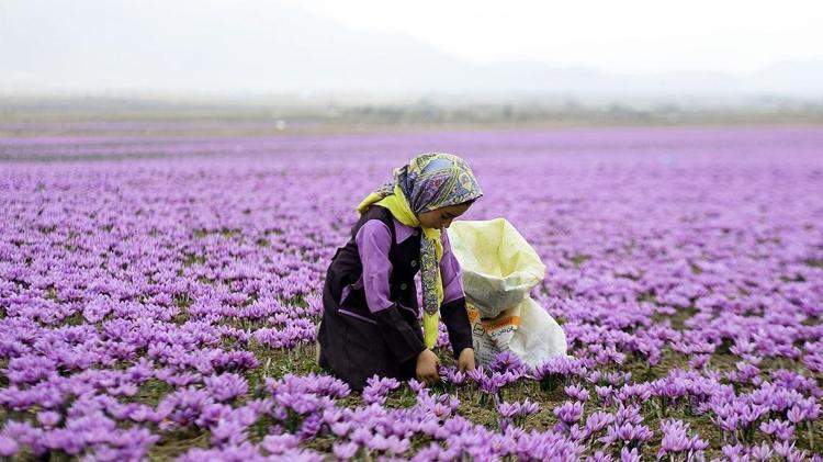 Altını tahtından indirdi: 3 kilosuyla bir ev alınıyor
