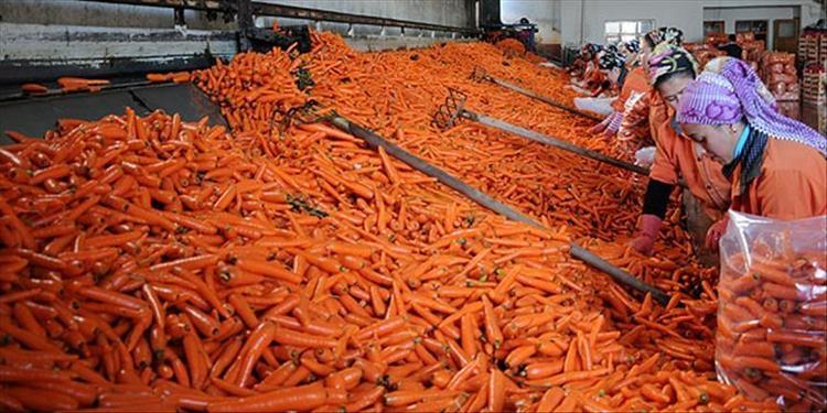 SUYU DÜZENLİ OLARAK DEĞİŞTİRİN