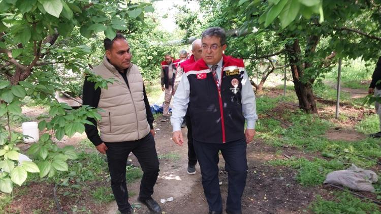 Mutta hasadı başladı Fiyatı yarı yarıya düştü: Böbreklerdeki toksinleri temizliyor