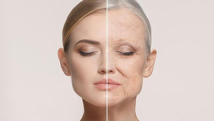 KIRIŞIKLIK KARŞITI UYUMA STRATEJİLERİ