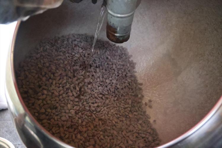 Elazığda beyaz altın olarak biliniyor Osmanlıdan kalan miras: Kilosu 500 TLden satılıyor