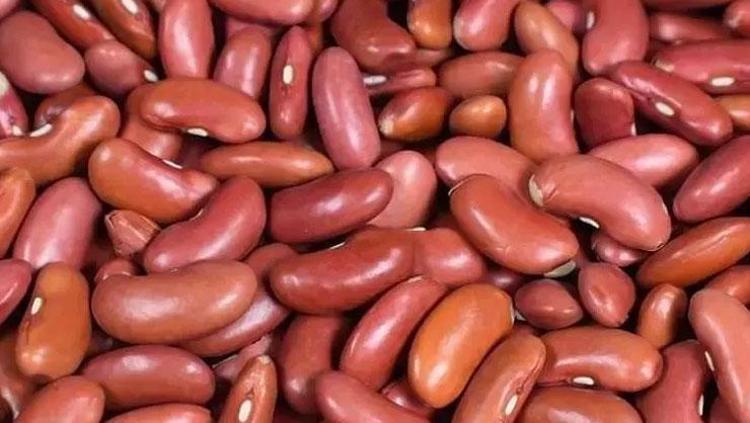 Aşçıların sırrı çözüldü Zeytinyağlı barbunyayı lokum gibi yapan o bir kaşık malzeme...