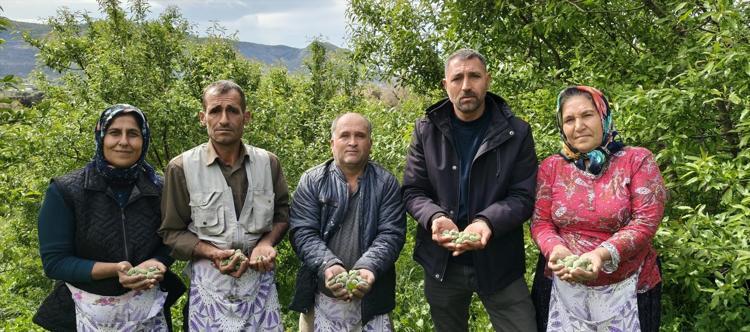 ÇAĞLANIN FAYDALARI NELERDİR