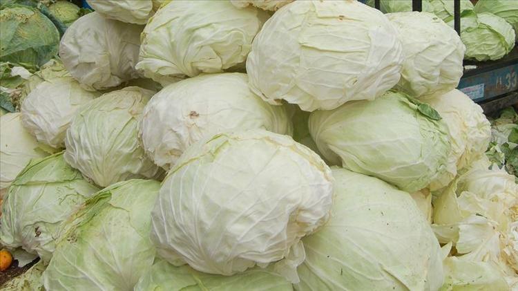 Tarlada kilosu 9 TL ama markette 100 TLye satılıyor Fiyatı el yaksa da kalbin ve damarların en iyi dostu