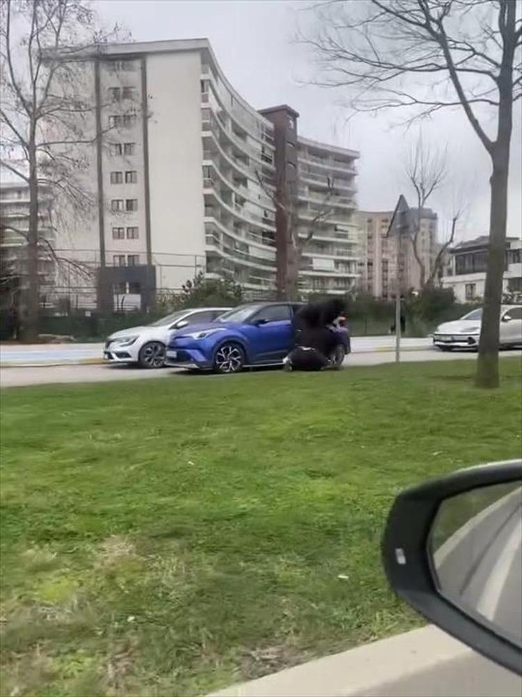 Pendik’te ‘ejderha kadınlar’ kavgası Çocukların gözü önünde birbirlerine girdiler