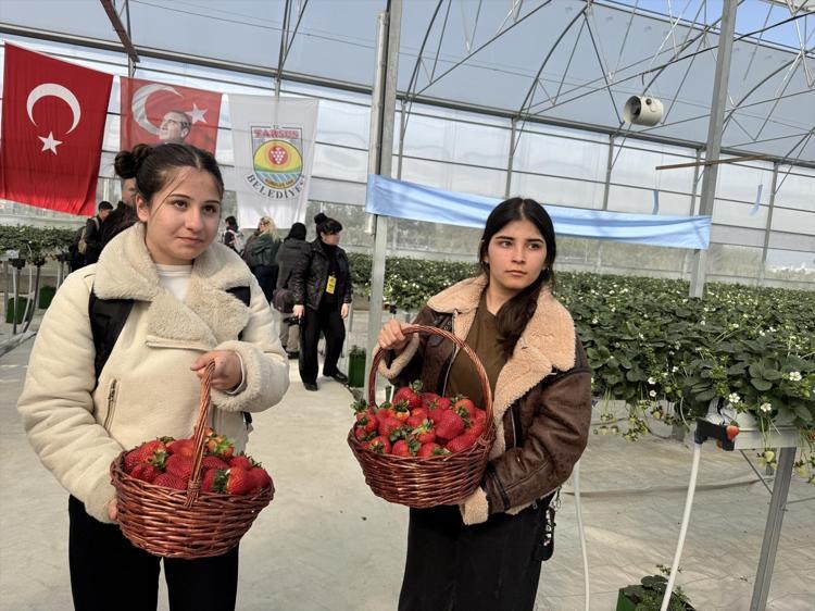 Topraksız yetiştiriliyor, hasadı başladı Cilde kolajen yükleyip gençleştiriyor