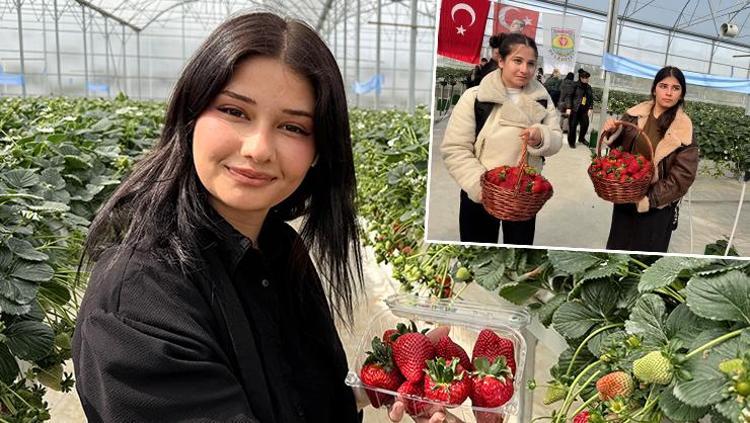 Topraksız yetiştiriliyor, hasadı başladı Cilde kolajen yükleyip gençleştiriyor