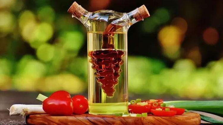 FERMENTASYONUN GÜCÜ VE ANA KÜLTÜRÜ