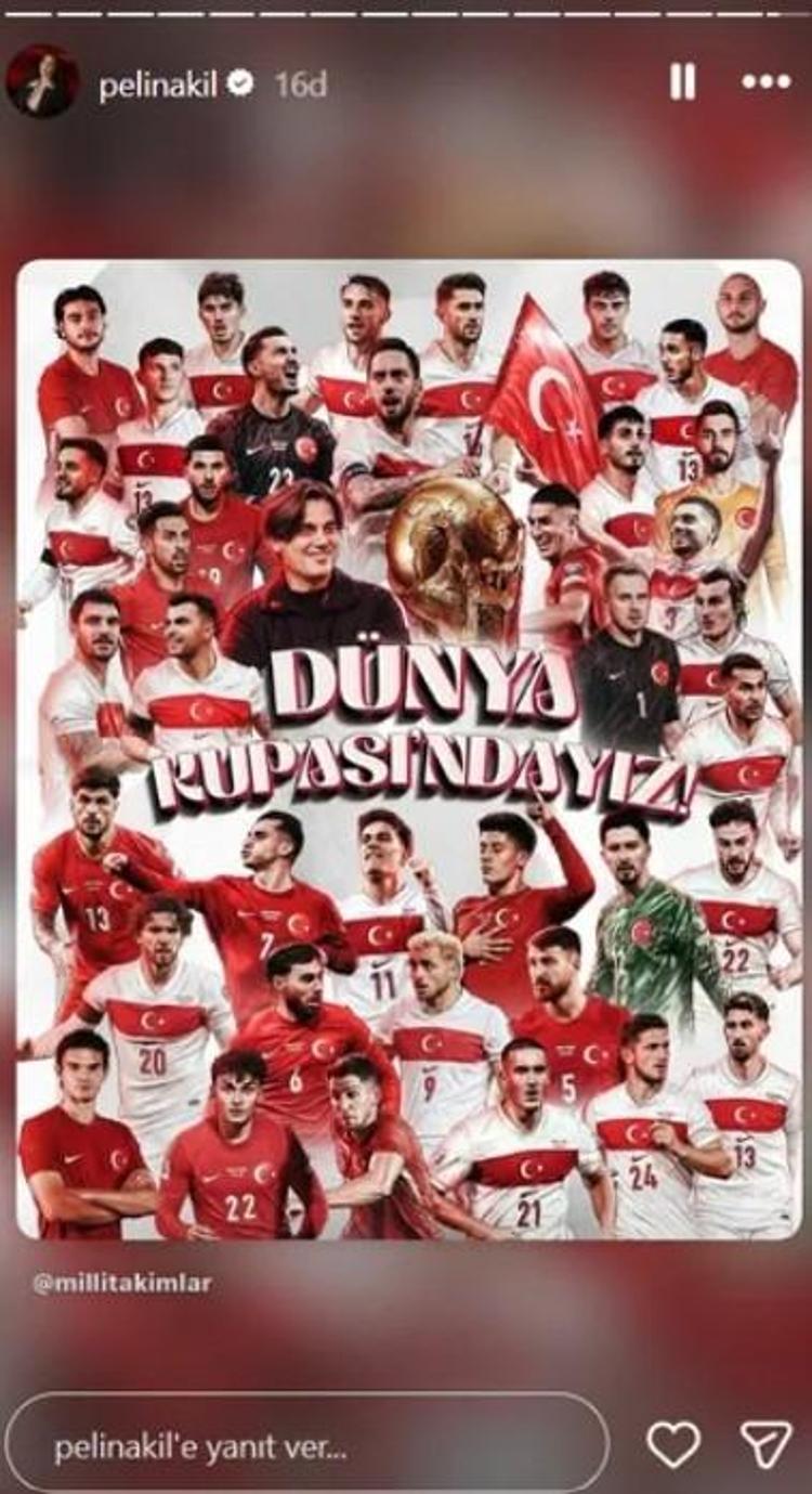 PELİN AKİL