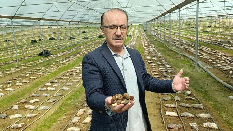 YENİ BİR YEMEK KÜLTÜRÜ OLUŞUYOR
