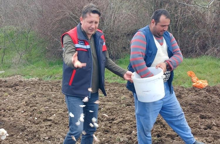 Doğal antibiyotik olarak biliniyor 1 yıl geçse bile ilk günkü gibi tazecik kalıyor