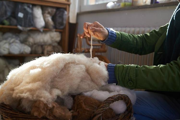 Yünden gübre olur mu demeyin Avrupa kapış kapış alıyor, biz ise yaylada bırakıyoruz