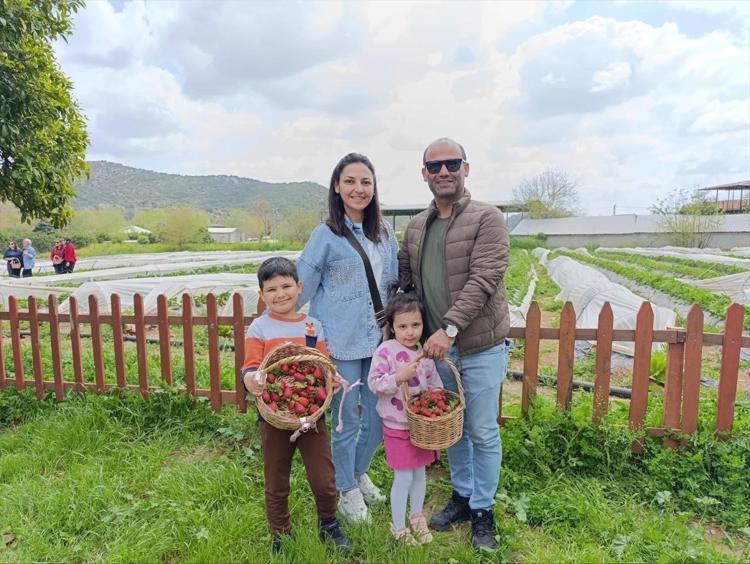Adanada ezber bozan uygulama Parasını veriyorlar, işçiliği kendileri yapıyorlar: Böyle hasat görülmedi