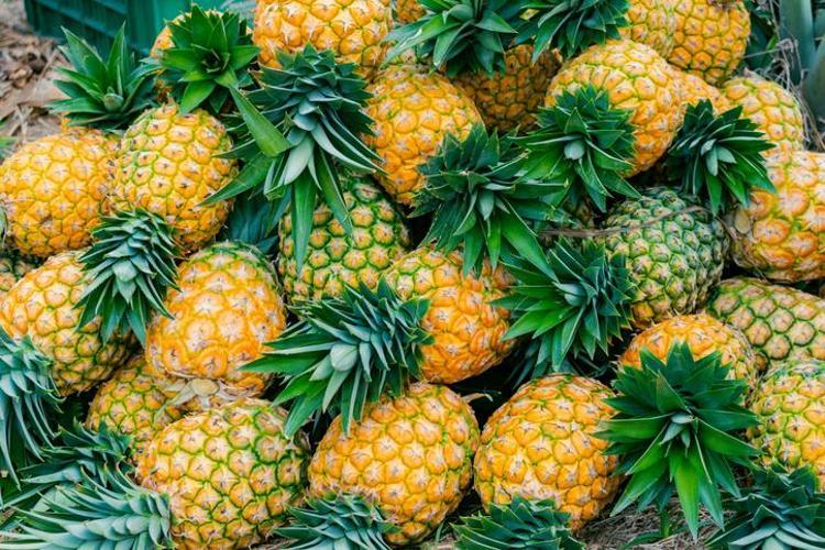 Ananas yerken iki kez düşünün Düşündüğünüz kadar sağlıklı olmayabilir