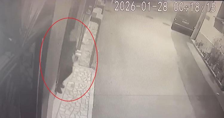 Emekli polisin korkunç sonu 68 yaşındaki kadın dehşet saçtı...Satır ve bıçakla 15 parçaya ayırmış