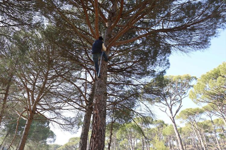 TEHLİKELİ OLDUĞU İÇİN KİMSE ÇALIŞMAK İSTEMİYOR