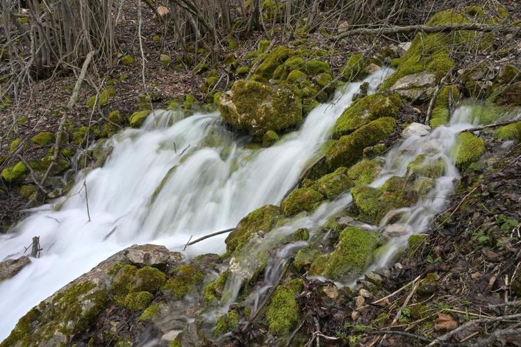Dağın içinden fışkıran gizem: Gümüşhane’de yılda sadece 15 gün ortaya çıkıp kayboluyor