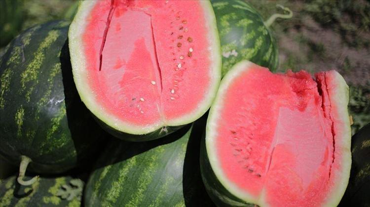 İlk hasat yapıldı, dilim dilim satılıyor Kilosu 50 TL: Kalp ve damar sağlığını koruyor