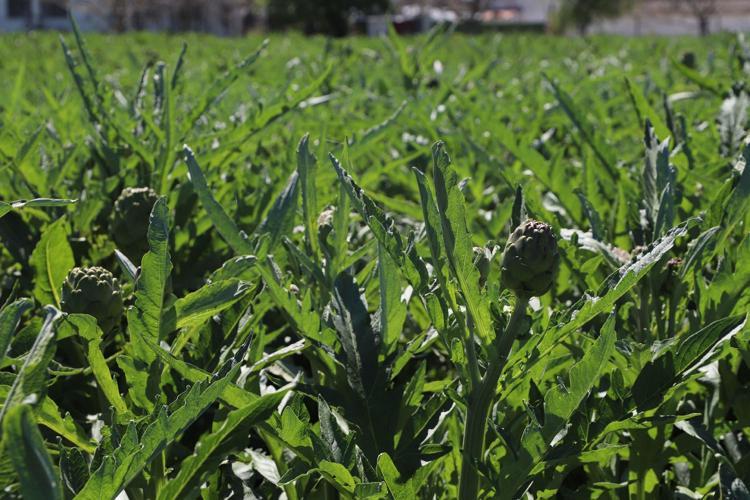 BİRİM BAZINDA YÜKSEK KAZANÇ SAĞLIYOR