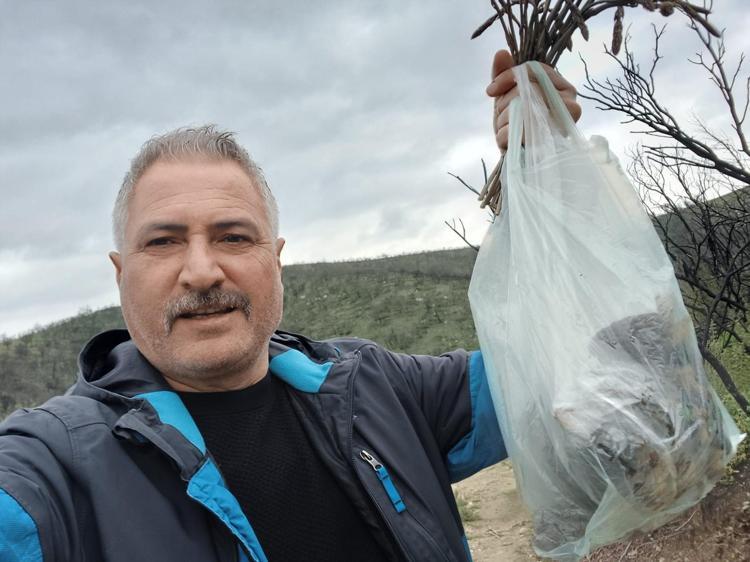 Gören seviniyor, bulan bırakmıyor Salihli’de doğada kendiliğinden yetişiyor