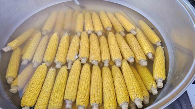 Sokaktaki lezzetin sırrı buymuş Evde süt tadında, lokum gibi mısır tarifi