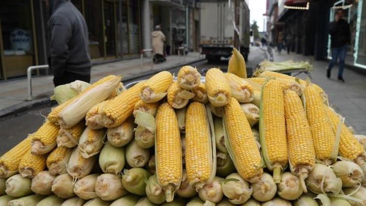 Sokaktaki lezzetin sırrı buymuş Evde süt tadında, lokum gibi mısır tarifi