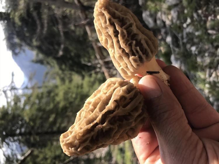 KIŞLIK ERZAK DA HAZIRLANIYOR
