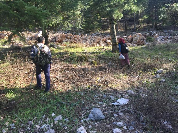 Doğada kendiliğinden yetişiyor Halk arasında göbek olarak biliniyor: Kilosu bin 500 liradan satılıyor