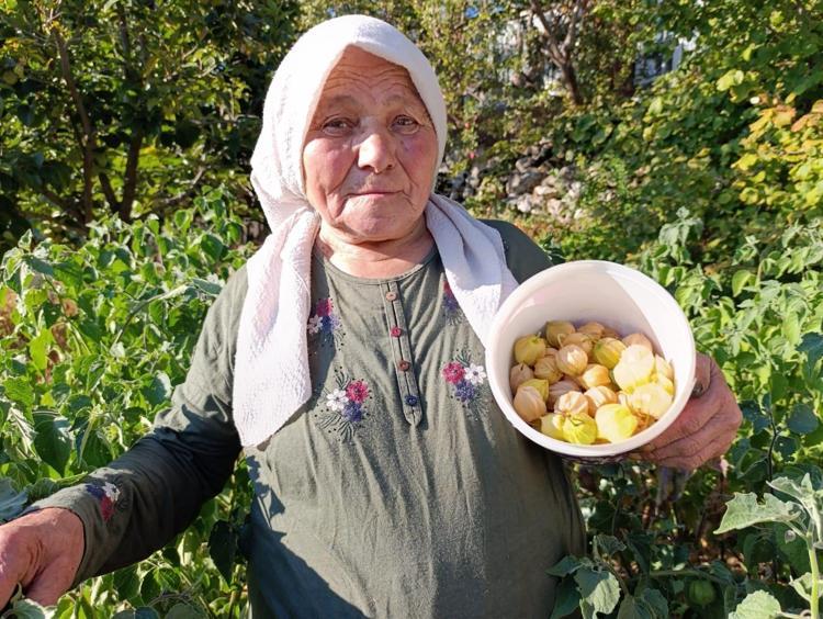 Küçük sağlık deposu meyve Avuç avuç yiyince kan şekerini dengeleyip şekerin aniden fırlamasını önlüyor, C vitamini depolarını fullüyor