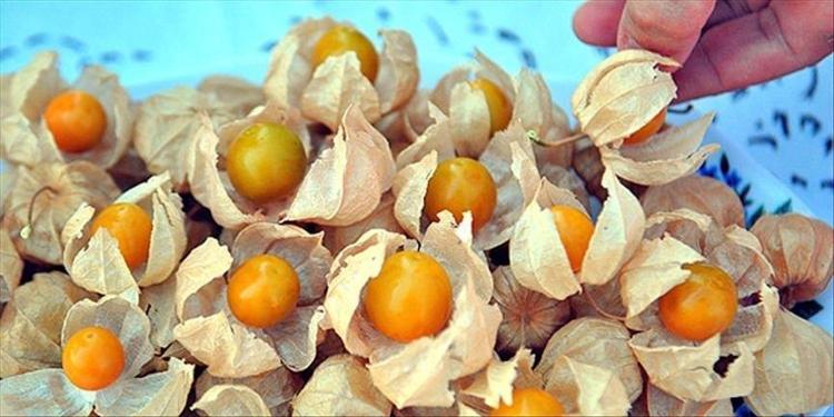 Küçük sağlık deposu meyve Avuç avuç yiyince kan şekerini dengeleyip şekerin aniden fırlamasını önlüyor, C vitamini depolarını fullüyor