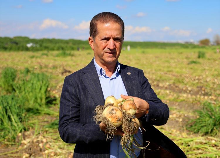 SOĞANDA MİLDİYÖ HASTALIĞI VAR