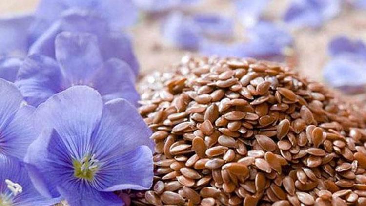 DAMARLARIN DOĞAL SÜPÜRGESİ