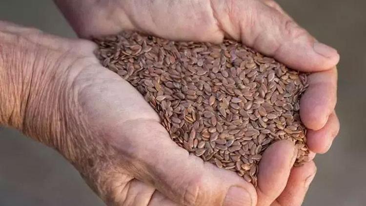 Akşamdan bir bardak suya koyup bekletin Sabah içtiğinizde damarları pırıl pırıl yapıyor
