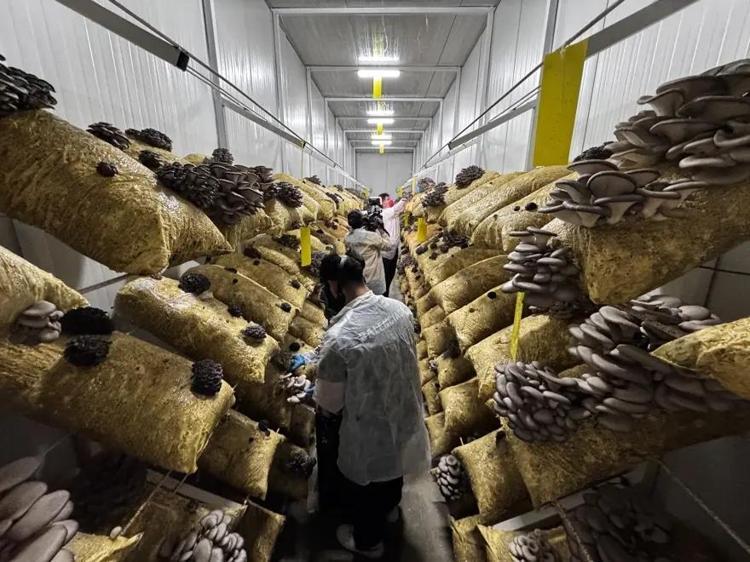Cübbeyi çıkardı, kolları sıvadı Genç girişimcinin hobi dediği iş dev bir tesise dönüştü: Taleplere yetişilemiyor