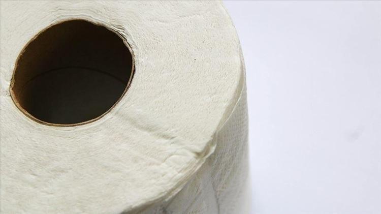 MÜKEMMEL BİR TOHUM BAŞLANGIÇ KABI