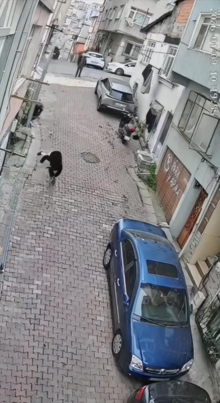 İstanbulda bunu da gördük Örümcek adam gibi tırmanıp kol çantasını çaldı