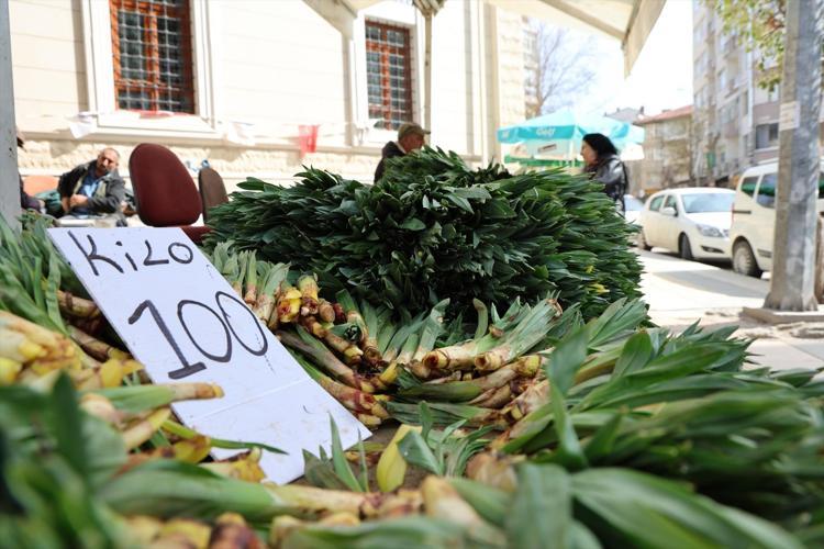 Dağlardan gelen şifa tezgaha düştü Kilosu 100 TL: Talep patlaması yaşandı