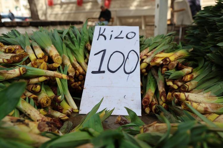 Dağlardan gelen şifa tezgaha düştü Kilosu 100 TL: Talep patlaması yaşandı